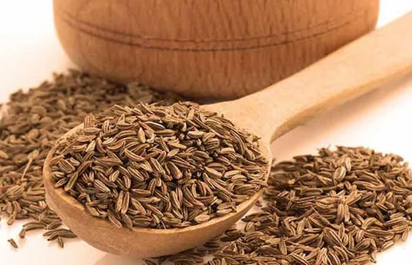 خرید گیاه دارویی زیره سبز + بهترین قیمت