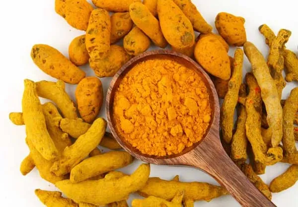 قیمت خرید گیاهان دارویی زردچوبه + خواص، معایب و مزایا
