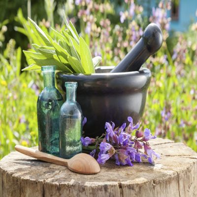 healing-herbs_11zon